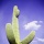 Page:Images Las Vegas. Photo:Cactus 31